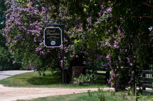 20110702_BoAnna_0501