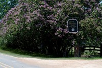 20110702_BoAnna_0507